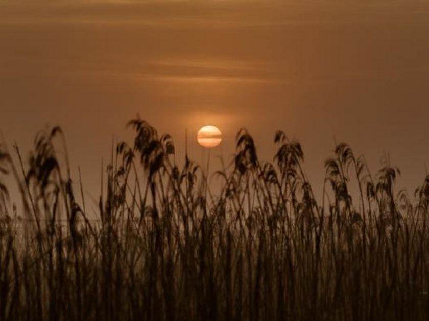 Pilgerspaziergang in das morgentliche Moor