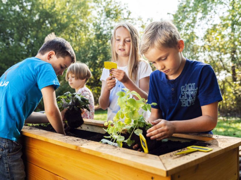  Kräuterwerkstatt – Schätze aus der Natur 
