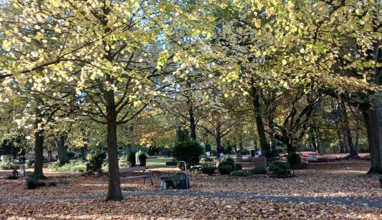 Herbststimmung auf dem Lübbecker Friedhof   Foto: Ulrike Köpper